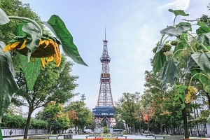 札幌の赤帽テレビ塔